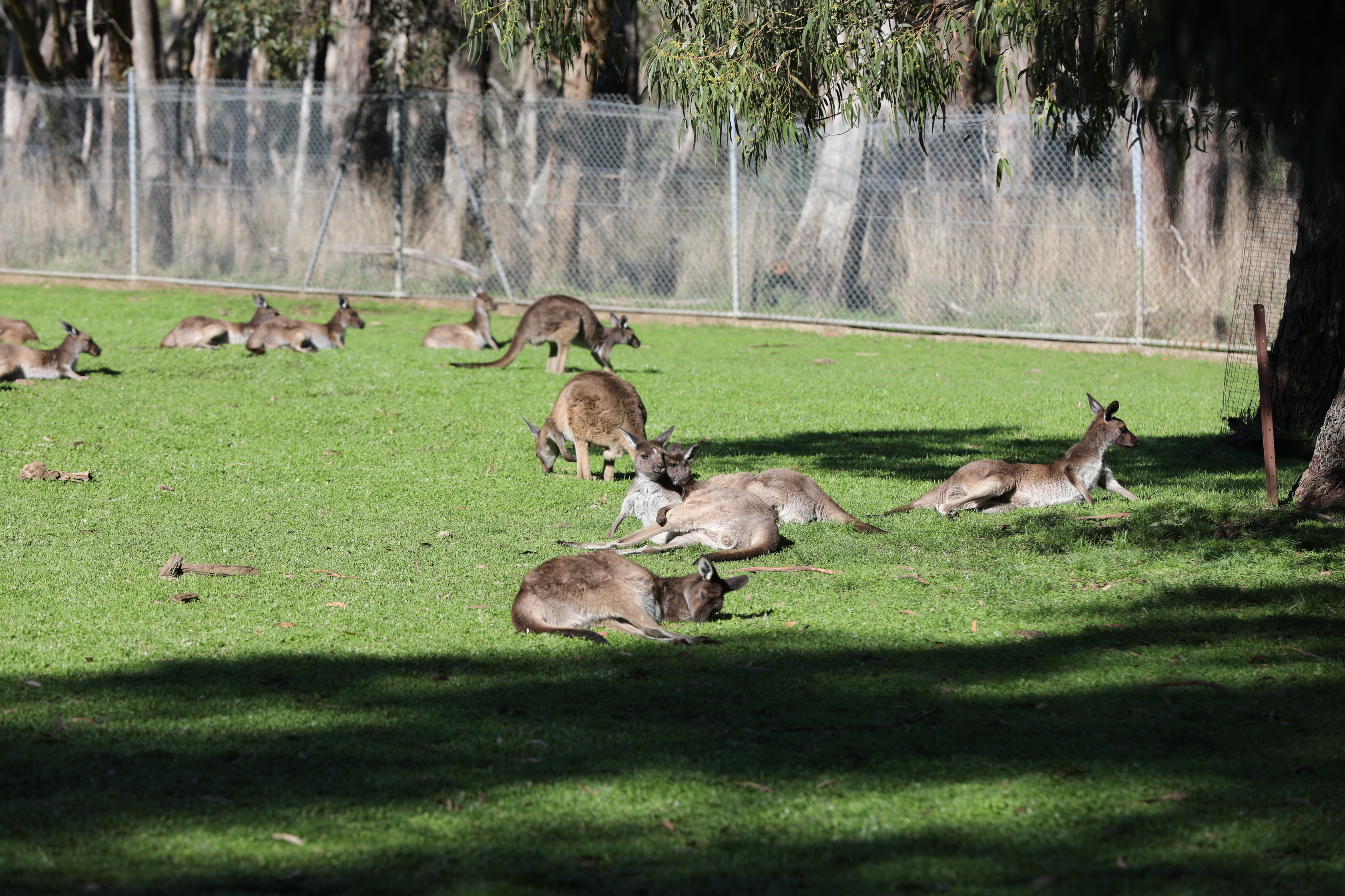 2019 07 19 13 53 31 Canon EOS 5D Mark IV 0015